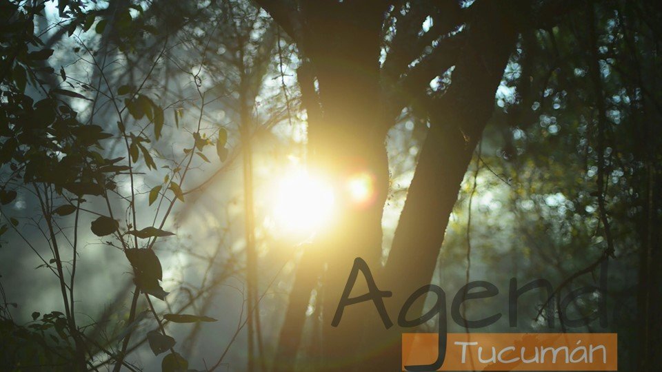 06 de Agosto – El árbol negro (Argentina) | Competencia latinoamericana FTC