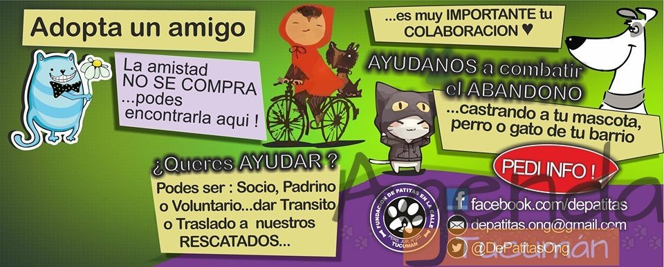 21 de Septiembre – 1° Rodando por la Vida