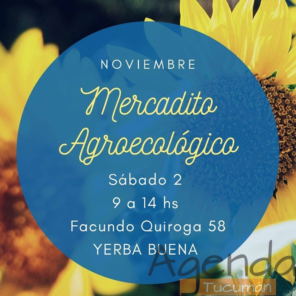 02 de Noviembre – Mercadito Agroecologico de noviembre
