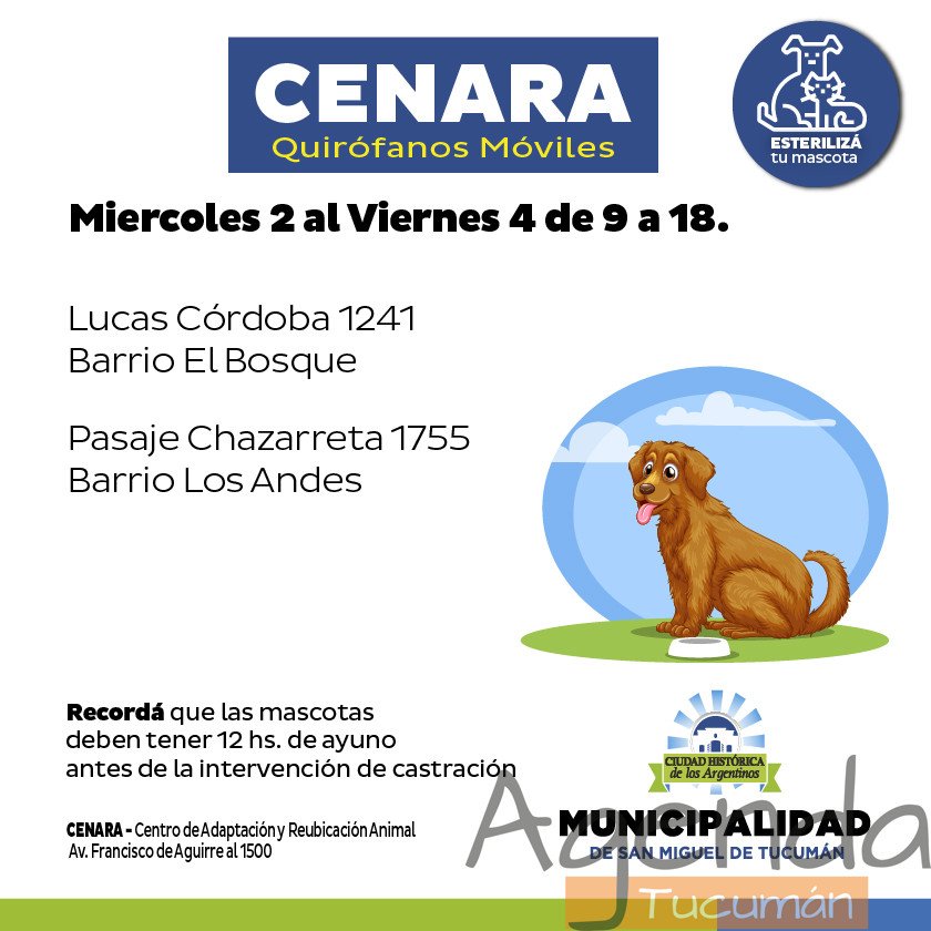Trailer Cenara de esta semana