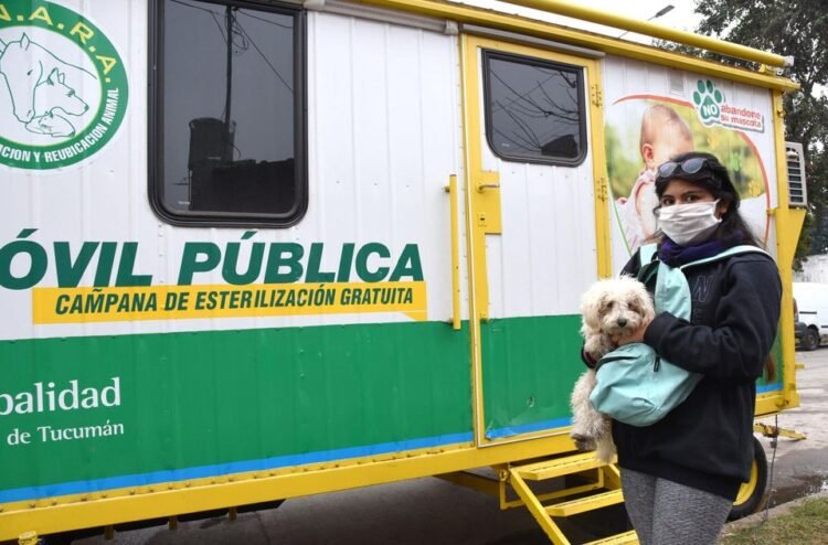 Castración de Mascotas hasta el 28 de agosto
