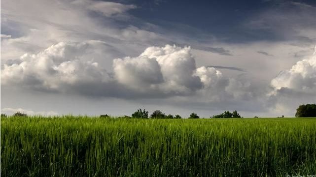 alerta meteorologico