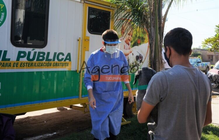 Dónde estará el quirófano móvil de Cenara