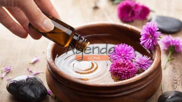 Plantas Aromáticas y sus Usos Medicinales: dictan un taller
