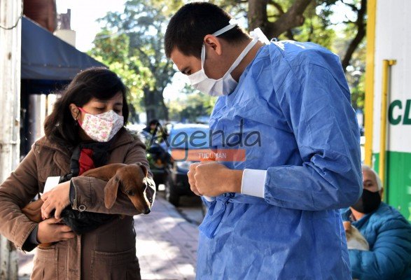 Vecinos de los barrios Gráfico II y Ex Ingenio Amalia podrán acceder al servicio gratuito de castración de mascotas