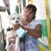 La Municipalidad brindará el servicio gratuito de castración de mascotas en los barrios El Parque y Villa Muñecas