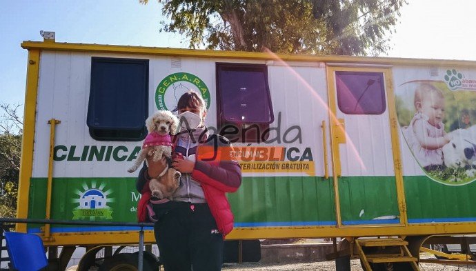 Servicio gratuito de castración de mascotas en Villa Alem