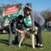 El Tráiler Veterinario visita la plaza Nougués de YB