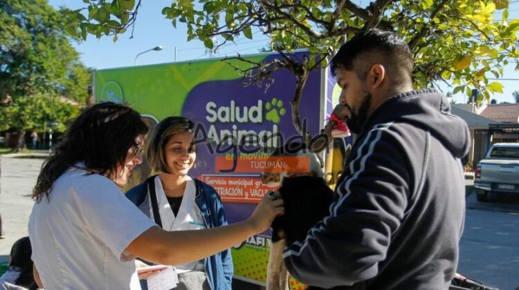 Cómo acceder al servicio de castración gratuita en Tafí Viejo