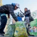 Del 8 al 14 de julio| Eco vacaciones: eco canje, kermeses, talleres y ferias ambientales