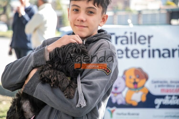 Tráiler Veterinario en Yerba Buena