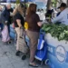 Ofertas del Mercado en tu Barrio hasta el viernes 13 de diciembre