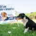 16 al 27 de Diciembre | Tráiler Veterinario llega a Horco Molle