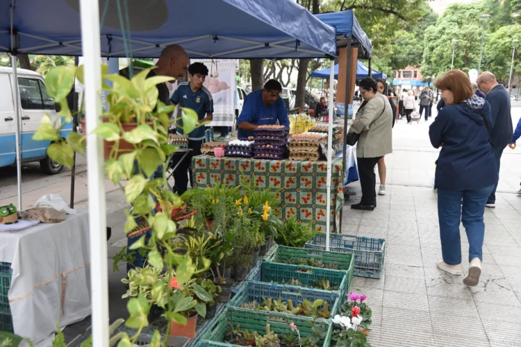Ofertas del Mercado en Tu Barrio para esta semana, del 28 al 30 de abril