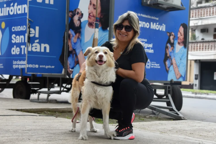 Servicio gratuito de castración para animales de compañía, del 9 al 13 de junio