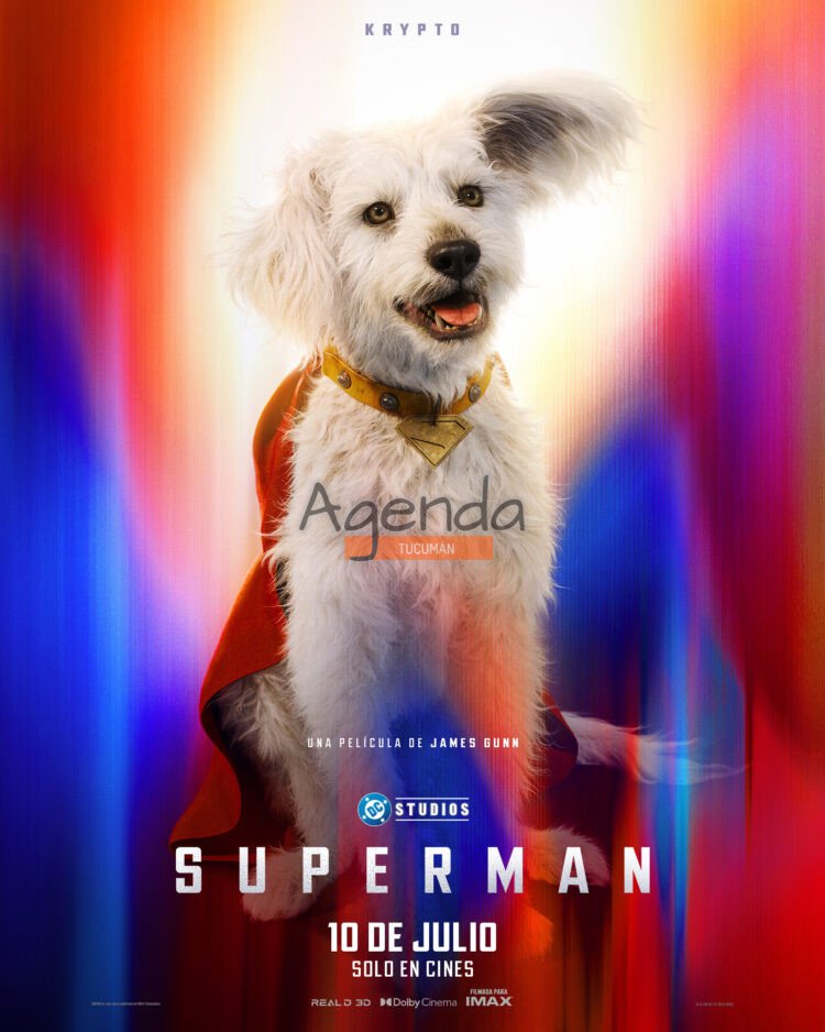Ganadores para la Avant Premiere de Superman