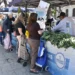Ofertas en Tucumán: Mercado en tu Barrio del 25 al 29 de agosto